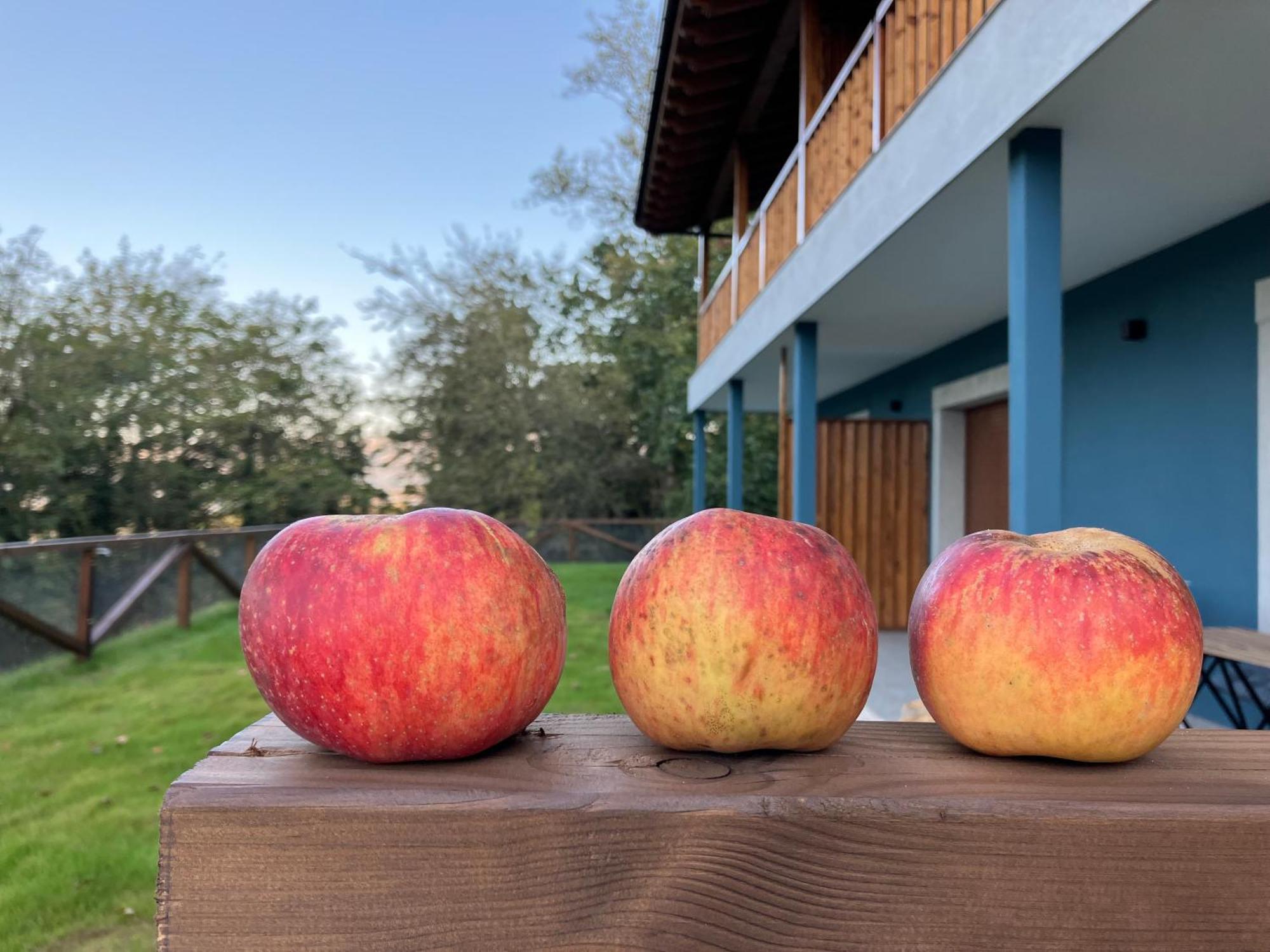Apartamentos Montes Vindios Onís Exteriér fotografie